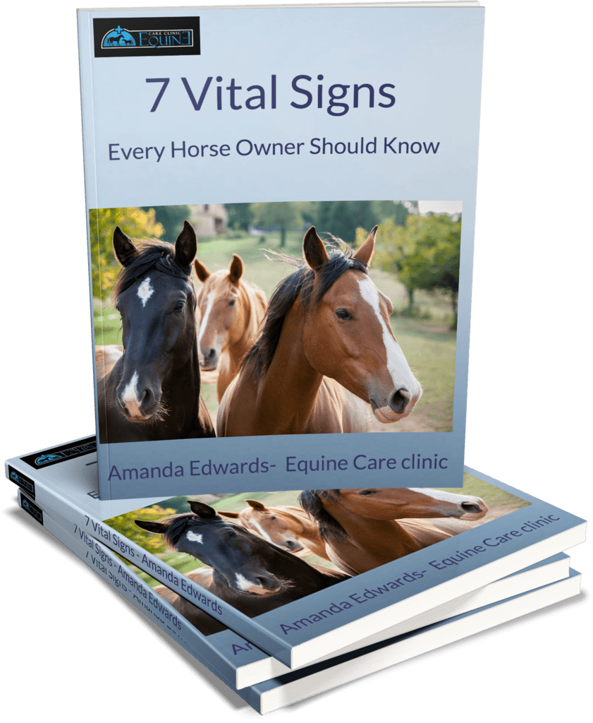 7 Vital signs every horse owner should know